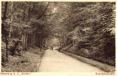 18054 Gezicht op de Grebbeweg te Grebbe bij Rhenen.